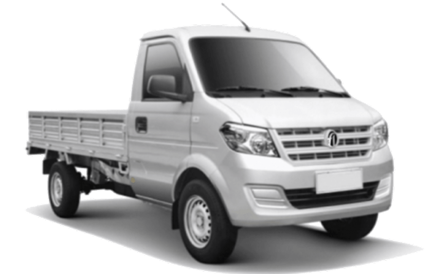 EV F1 TRUCK
